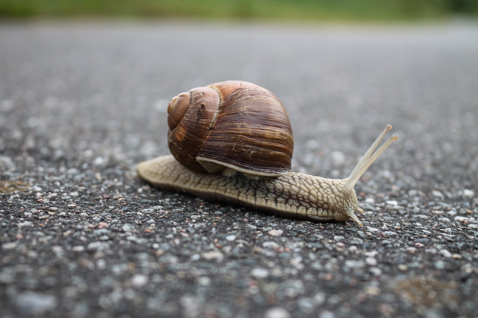 WLAN langsam wie eine Schnecke?